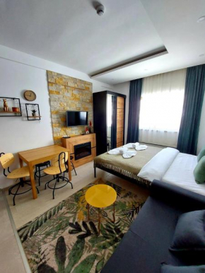 Milmari ApartmanVid N57